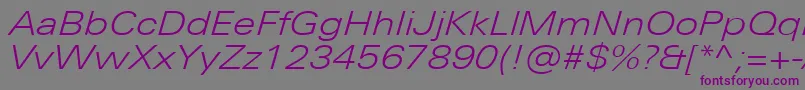 フォントUniversNextProLightExtendedItalic – 紫色のフォント、灰色の背景