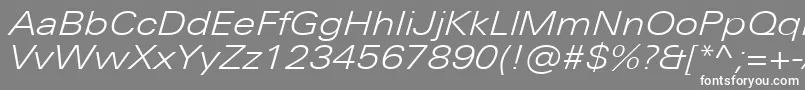 UniversNextProLightExtendedItalic Font – White Fonts on Gray Background