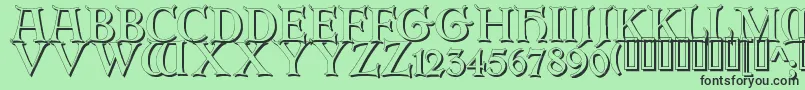 ErbarinitialenShadow Font – Black Fonts on Green Background