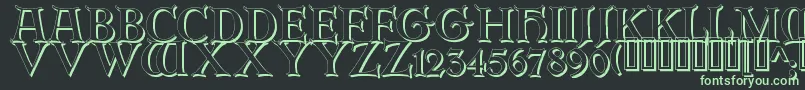 ErbarinitialenShadow Font – Green Fonts on Black Background