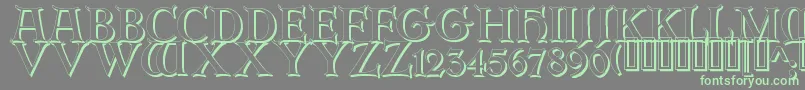 ErbarinitialenShadow Font – Green Fonts on Gray Background