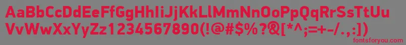 PfdindisplayproBlack Font – Red Fonts on Gray Background