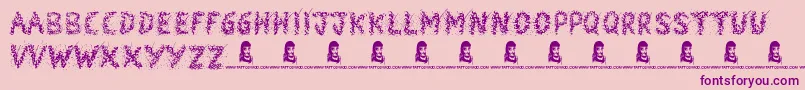 Snowmania Font – Purple Fonts on Pink Background