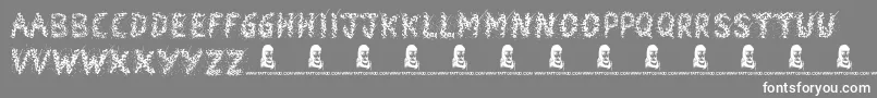 fuente Snowmania – Fuentes Blancas Sobre Fondo Gris