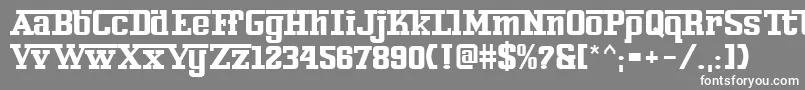 フォントFerro – 灰色の背景に白い文字