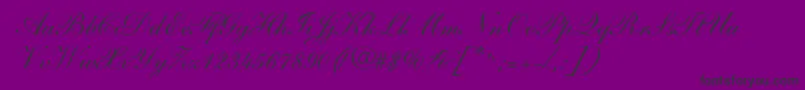SarahandantedbNormal Font – Black Fonts on Purple Background