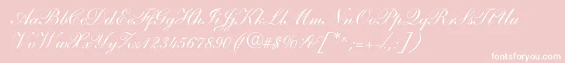 SarahandantedbNormal-Schriftart – Weiße Schriften auf rosa Hintergrund