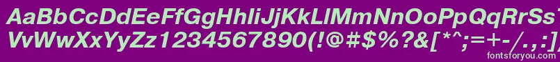 PragmaticafttBolditalic Font – Green Fonts on Purple Background