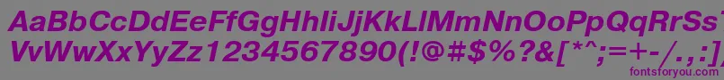 フォントPragmaticafttBolditalic – 紫色のフォント、灰色の背景