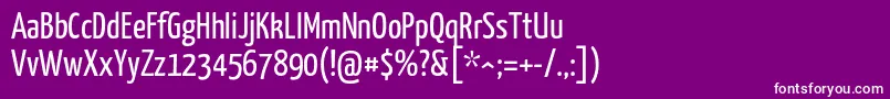 Yanonekaffeesatz Regular Font – White Fonts on Purple Background