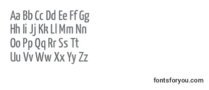 Yanonekaffeesatz Regular Font