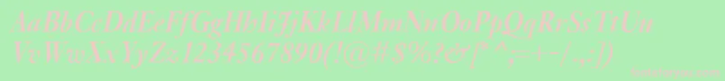 KisClassicoBolditalic Font – Pink Fonts on Green Background