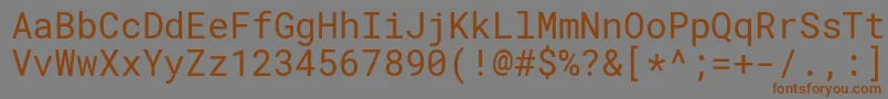 Шрифт RobotomonoRegular – коричневые шрифты на сером фоне