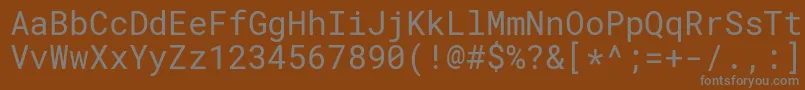 フォントRobotomonoRegular – 茶色の背景に灰色の文字