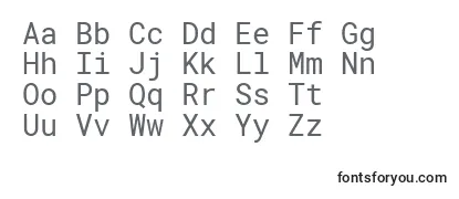 RobotomonoRegular Font