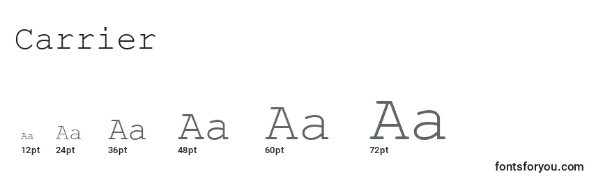 Carrier Font Sizes