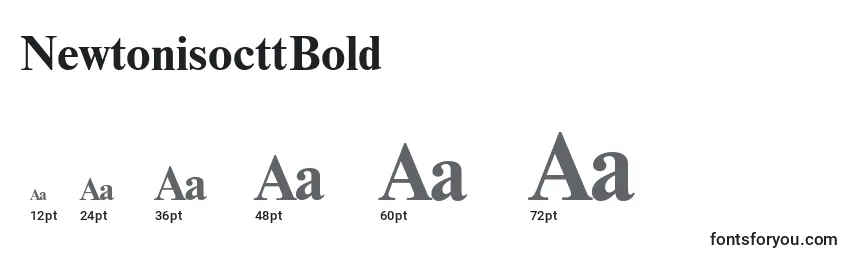NewtonisocttBold Font Sizes