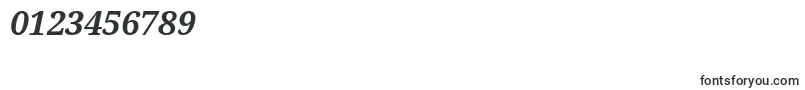 DroidSerifBoldItalic Font – Fonts for Numbers and Digits