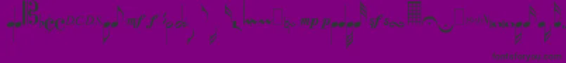 MusicalsymbolsPlain Font – Black Fonts on Purple Background