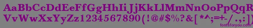Шрифт HoundsBold – фиолетовые шрифты на сером фоне