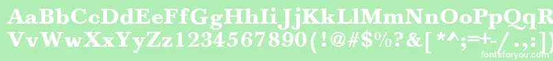 HoundsBold Font – White Fonts on Green Background