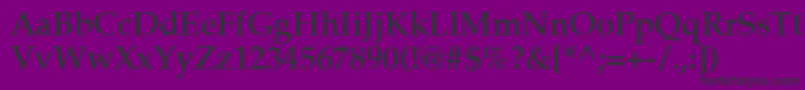 Latinopal5Demish Font – Black Fonts on Purple Background