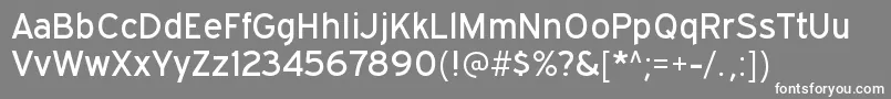 ExpresswayrgRegular Font – White Fonts on Gray Background