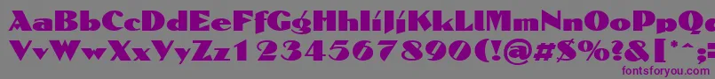 フォントDomaignRegular – 紫色のフォント、灰色の背景