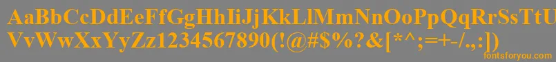 フォントTimesNewRomanBold – オレンジの文字は灰色の背景にあります。