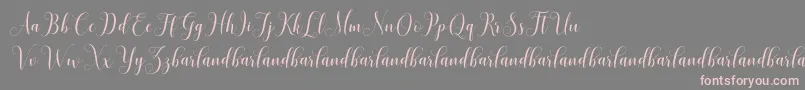 HoniladScriptDemo Font – Pink Fonts on Gray Background