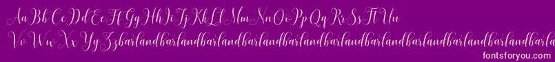 HoniladScriptDemo Font – Pink Fonts on Purple Background