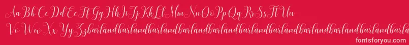 HoniladScriptDemo Font – Pink Fonts on Red Background