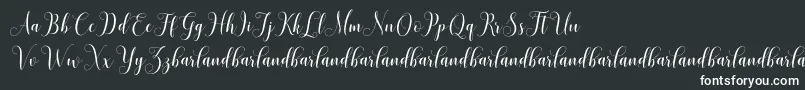 HoniladScriptDemo Font – White Fonts