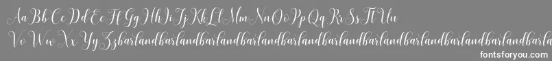 HoniladScriptDemo Font – White Fonts on Gray Background