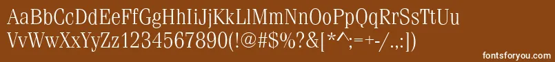 FerraraLightRegular Font – White Fonts on Brown Background