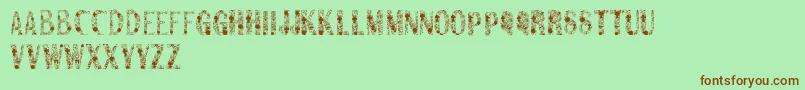 Sanromero Font – Brown Fonts on Green Background