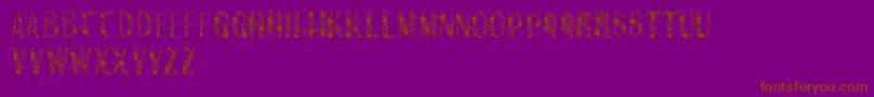 Sanromero Font – Brown Fonts on Purple Background