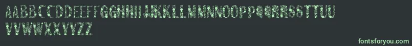 Sanromero Font – Green Fonts on Black Background