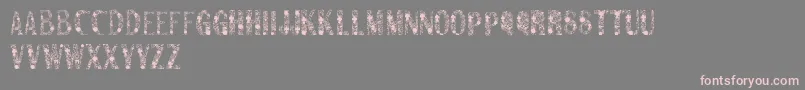 Sanromero Font – Pink Fonts on Gray Background