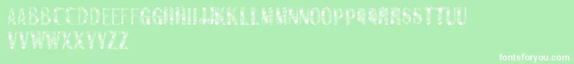 Sanromero Font – White Fonts on Green Background