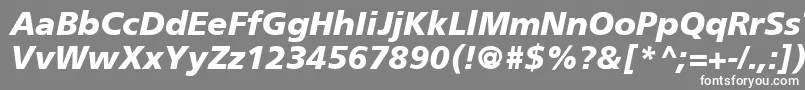 Шрифт FrutigerCe76BlackItalic – белые шрифты на сером фоне