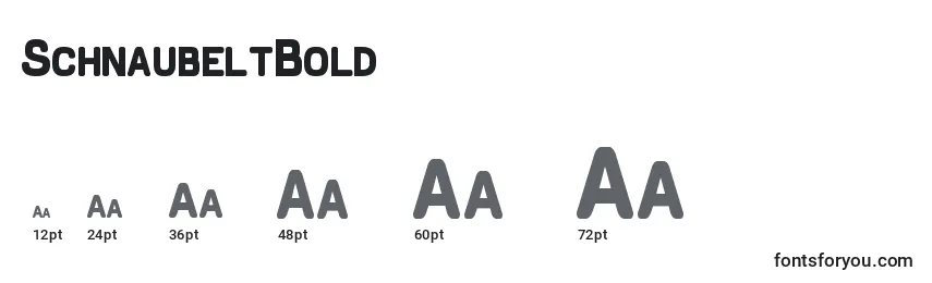 SchnaubeltBold Font Sizes