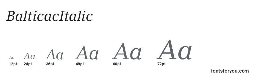 Размеры шрифта BalticacItalic