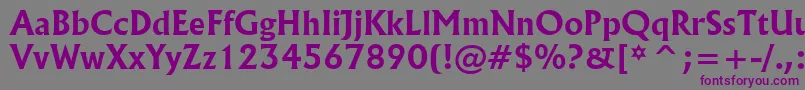 Czcionka Flareserif821BoldBt – fioletowe czcionki na szarym tle