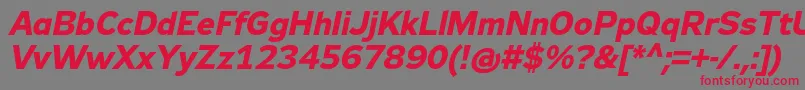 Zeppelin32BoldItalic Font – Red Fonts on Gray Background