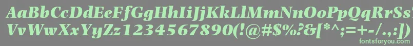 PhotinamtstdUltraboldit Font – Green Fonts on Gray Background