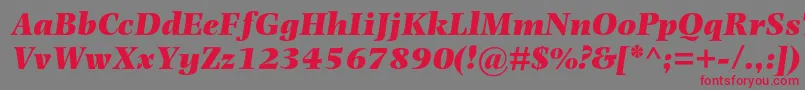 PhotinamtstdUltraboldit Font – Red Fonts on Gray Background