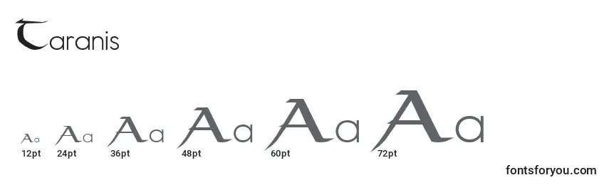 Размеры шрифта Taranis