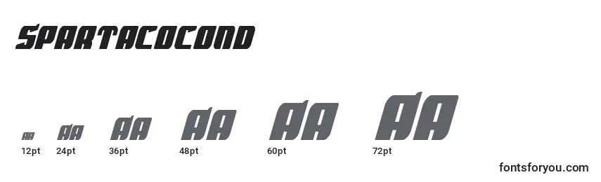 Spartacocond Font Sizes