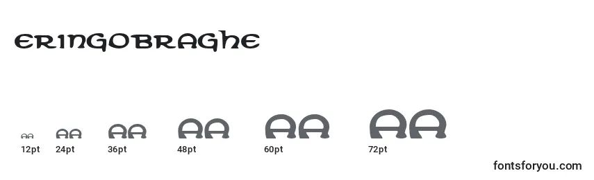 Размеры шрифта Eringobraghe